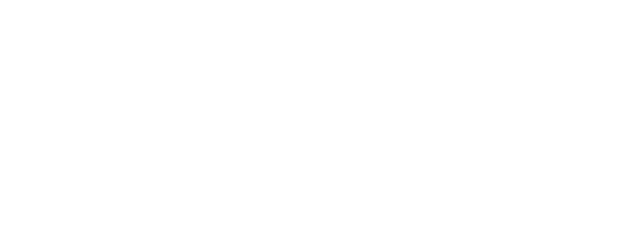 APEX AMP LOGO - White